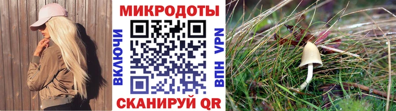 Галлюциногенные грибы Cubensis купить закладку Кировград